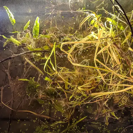 Rzeszów - Bartosz Nalepa / DNO LASU - wystawa w BWA - fot 40