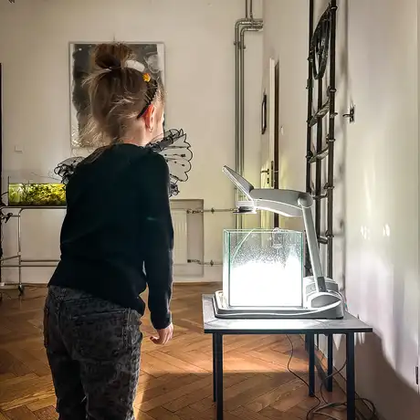 Rzeszów - Bartosz Nalepa / DNO LASU - wystawa w BWA - fot 41