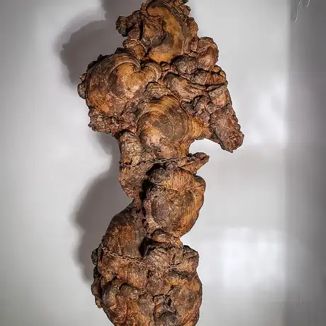 Rzeszów - Bartosz Nalepa / DNO LASU - wystawa w BWA - fot 39