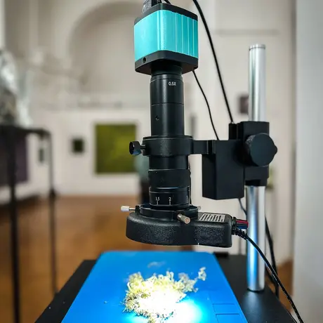 Rzeszów - Bartosz Nalepa / DNO LASU - wystawa w BWA - fot 55