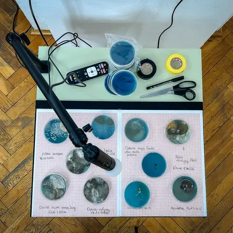 Rzeszów - Bartosz Nalepa / DNO LASU - wystawa w BWA - fot 53