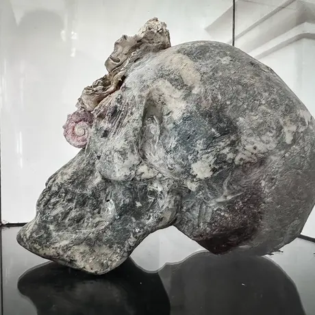 Rzeszów - Bartosz Nalepa / DNO LASU - wystawa w BWA - fot 48