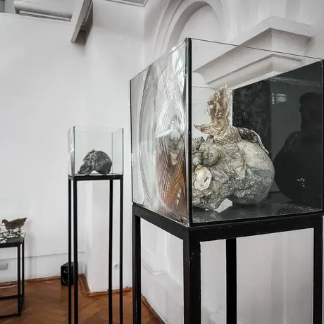 Rzeszów - Bartosz Nalepa / DNO LASU - wystawa w BWA - fot 47