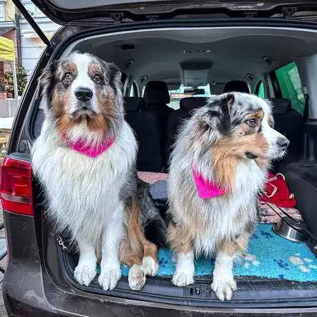 Rzeszów - 34. Finał Wielkiej Orkiestry Świątecznej Pomocy w Rzeszowie - fot 40