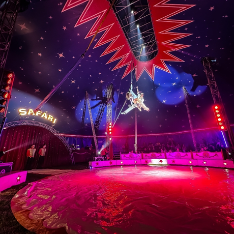 Rzeszów - Cyrk Safari z programem "The Show Must Go On" w Rzeszowie [marzec 2026] - fot 34