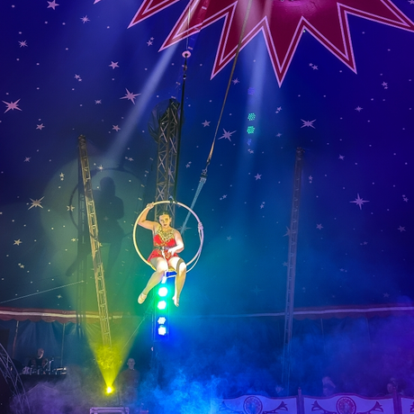 Rzeszów - Cyrk Safari z programem "The Show Must Go On" w Rzeszowie [marzec 2026] - fot 38