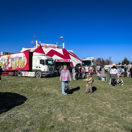 Rzeszów - Cyrk Safari z programem "The Show Must Go On" w Rzeszowie [marzec 2026] - fot 48