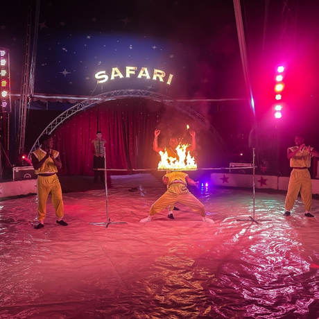 Rzeszów - Cyrk Safari z programem "The Show Must Go On" w Rzeszowie [marzec 2026] - fot 54