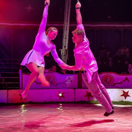 Rzeszów - Cyrk Safari z programem "The Show Must Go On" w Rzeszowie [marzec 2026] - fot 27