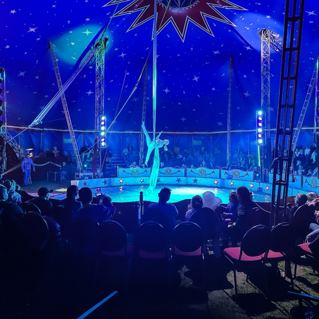 Rzeszów - Cyrk Safari z programem "The Show Must Go On" w Rzeszowie [marzec 2026] - fot 14