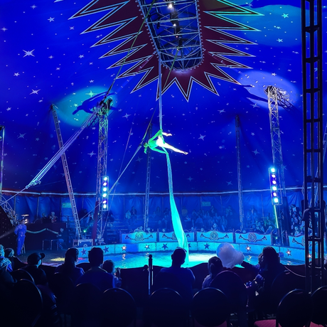 Rzeszów - Cyrk Safari z programem "The Show Must Go On" w Rzeszowie [marzec 2026] - fot 3