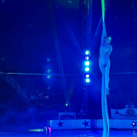 Rzeszów - Cyrk Safari z programem "The Show Must Go On" w Rzeszowie [marzec 2026] - fot 42