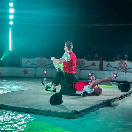 Rzeszów - Cyrk Safari z programem "The Show Must Go On" w Rzeszowie [marzec 2026] - fot 55