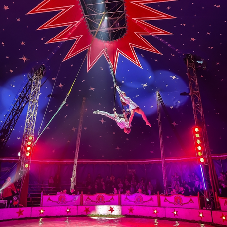 Rzeszów - Cyrk Safari z programem "The Show Must Go On" w Rzeszowie [marzec 2026] - fot 23