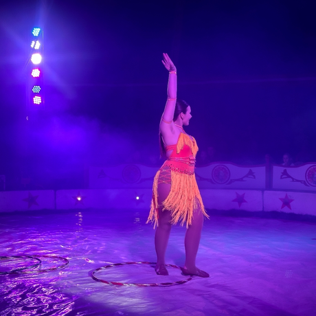 Rzeszów - Cyrk Safari z programem "The Show Must Go On" w Rzeszowie [marzec 2026] - fot 46