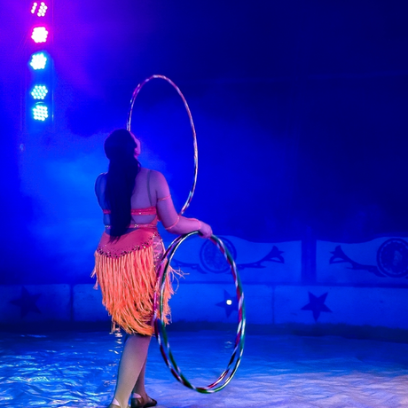 Rzeszów - Cyrk Safari z programem "The Show Must Go On" w Rzeszowie [marzec 2026] - fot 53