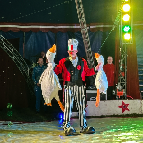 Rzeszów - Cyrk Safari z programem "The Show Must Go On" w Rzeszowie [marzec 2026] - fot 10