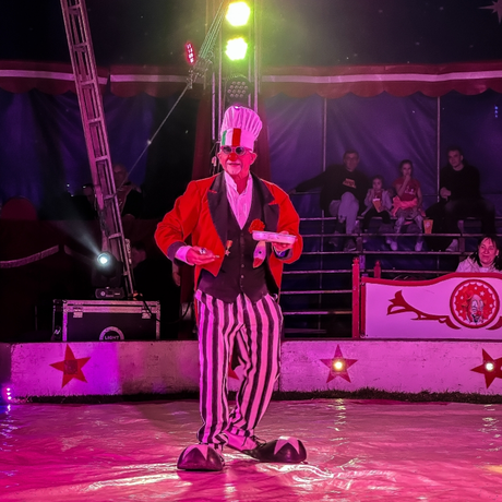 Rzeszów - Cyrk Safari z programem "The Show Must Go On" w Rzeszowie [marzec 2026] - fot 47