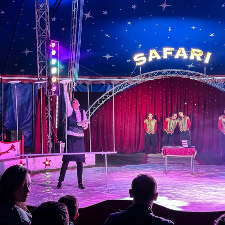 Rzeszów - Cyrk Safari z programem "The Show Must Go On" w Rzeszowie [marzec 2026] - fot 9