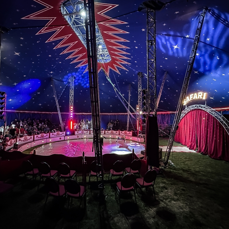 Rzeszów - Cyrk Safari z programem "The Show Must Go On" w Rzeszowie [marzec 2026] - fot 21