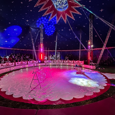 Rzeszów - Cyrk Safari z programem "The Show Must Go On" w Rzeszowie [marzec 2026] - fot 5