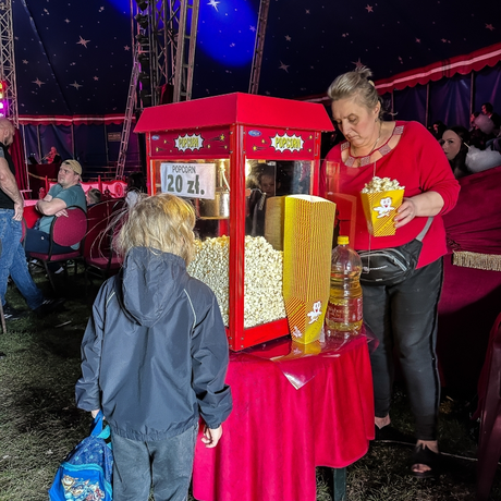 Rzeszów - Cyrk Safari z programem "The Show Must Go On" w Rzeszowie [marzec 2026] - fot 59