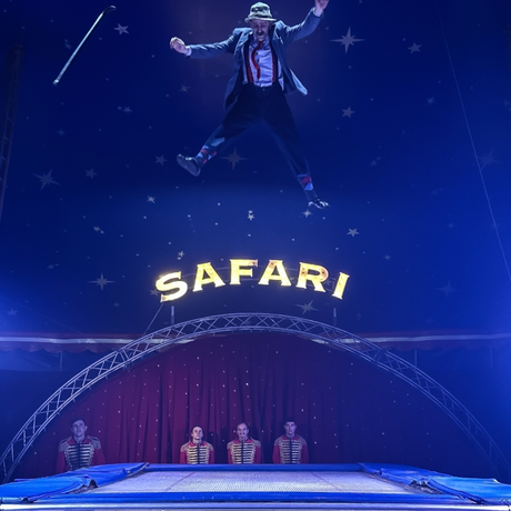 Rzeszów - Cyrk Safari z programem "The Show Must Go On" w Rzeszowie [marzec 2026] - fot 32