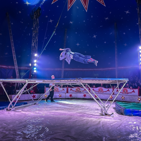 Rzeszów - Cyrk Safari z programem "The Show Must Go On" w Rzeszowie [marzec 2026] - fot 26