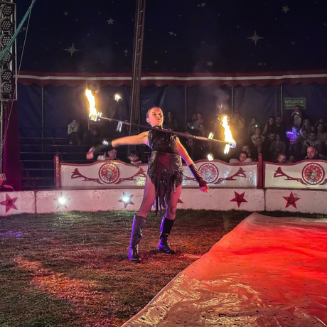 Rzeszów - Cyrk Safari z programem "The Show Must Go On" w Rzeszowie [marzec 2026] - fot 4