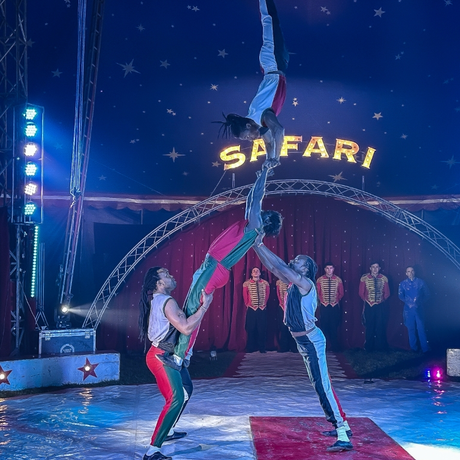 Rzeszów - Cyrk Safari z programem "The Show Must Go On" w Rzeszowie [marzec 2026] - fot 35