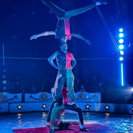 Rzeszów - Cyrk Safari z programem "The Show Must Go On" w Rzeszowie [marzec 2026] - fot 16