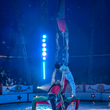 Rzeszów - Cyrk Safari z programem "The Show Must Go On" w Rzeszowie [marzec 2026] - fot 45