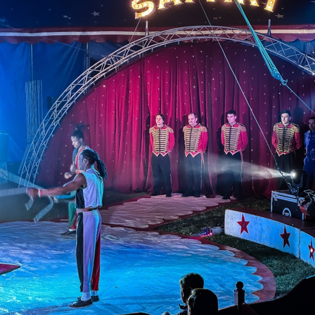 Rzeszów - Cyrk Safari z programem "The Show Must Go On" w Rzeszowie [marzec 2026] - fot 36