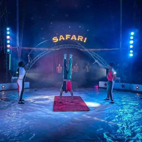 Rzeszów - Cyrk Safari z programem "The Show Must Go On" w Rzeszowie [marzec 2026] - fot 6