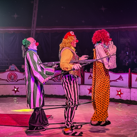 Rzeszów - Cyrk Safari z programem "The Show Must Go On" w Rzeszowie [marzec 2026] - fot 56