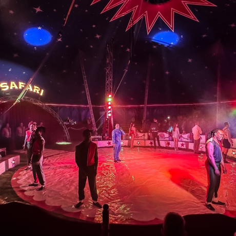 Rzeszów - Cyrk Safari z programem "The Show Must Go On" w Rzeszowie [marzec 2026] - fot 13