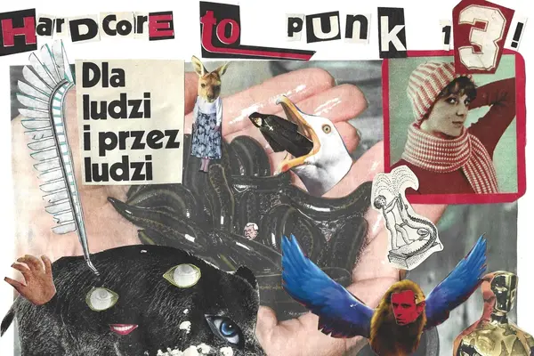 Hardcore to punk 13