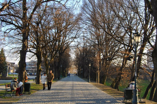 ALEJA POD KASZTANAMI