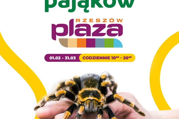 Wystawa Pająków