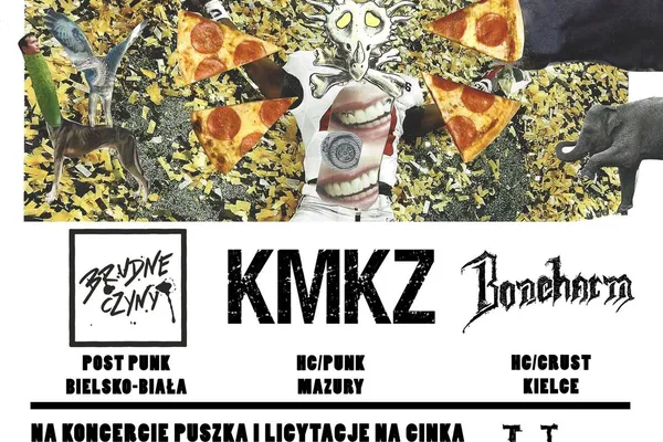 Hardcore to punk 12