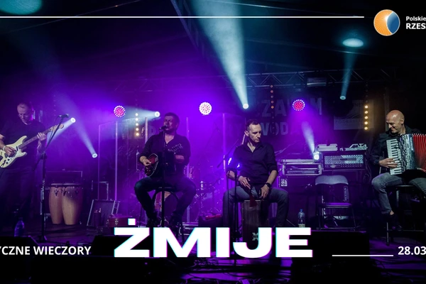 Żmije