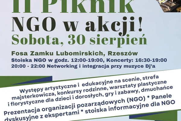 II Piknik dla Społeczności: „Rzeszowskie NGO w Akcji"