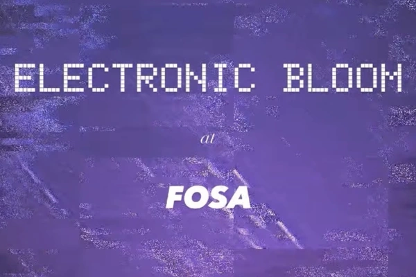 Electronic Bloom
