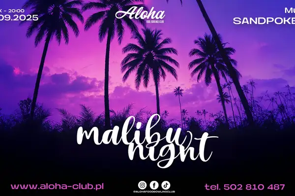 Malibu Night