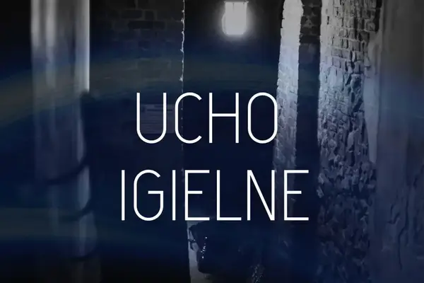 Ucho igielne