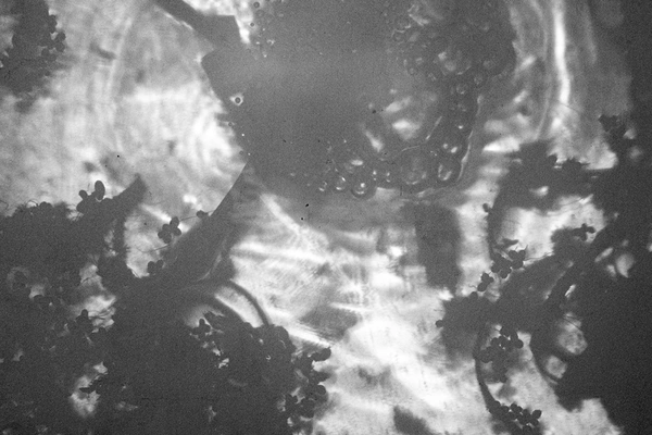 Świecenie - finisaż wystawy Bartosza Nalepy