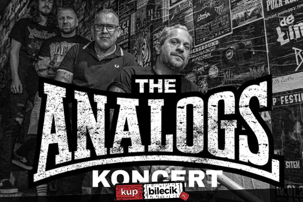 The Analogs
