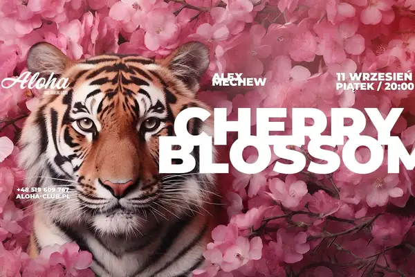 Cherry Blossom