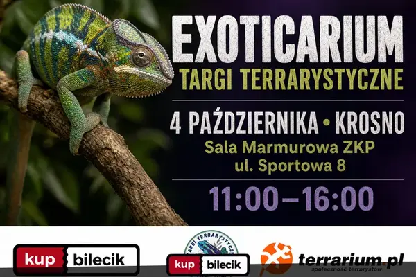 Exoticarium  - Targi Terrarystyczne + Wystawa Pająków