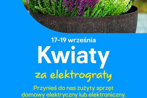 Kwiaty za elektrograty